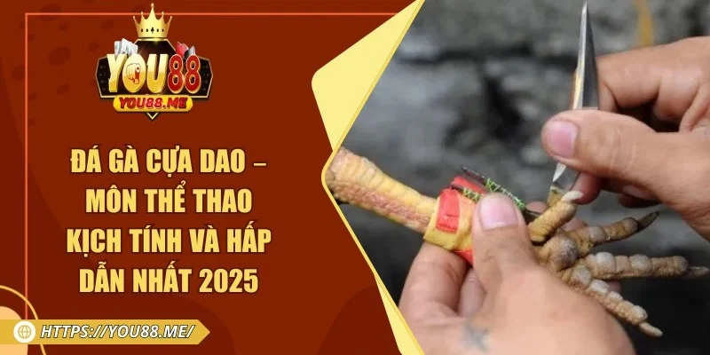 Đá Gà Cựa Dao – Môn Thể Thao Kịch Tính Và Hấp Dẫn Nhất 2025