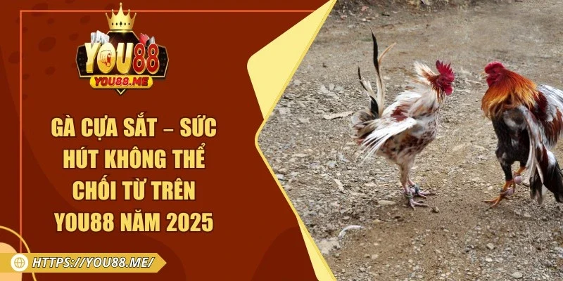 Gà Cựa Sắt – Sức Hút Không Thể Chối Từ Trên You88 Năm 2025