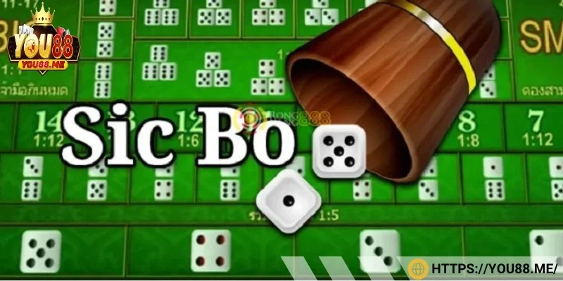 Những dạng cược phổ biến trong sảnh